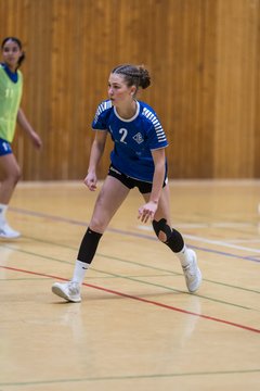 Bild 68 - wBJ TSV Ellerau - HSG Stoertal Hummeln : Ergebnis: 26:19